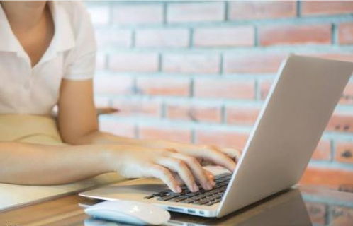 北京專業(yè)翻譯公司提供的翻譯服務(wù)概述